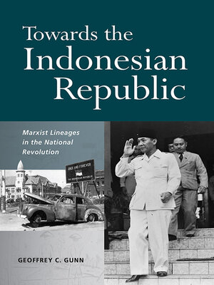 cover image of Towards the Indonesian Republic